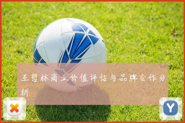 王哲林商业价值评估与品牌合作分析