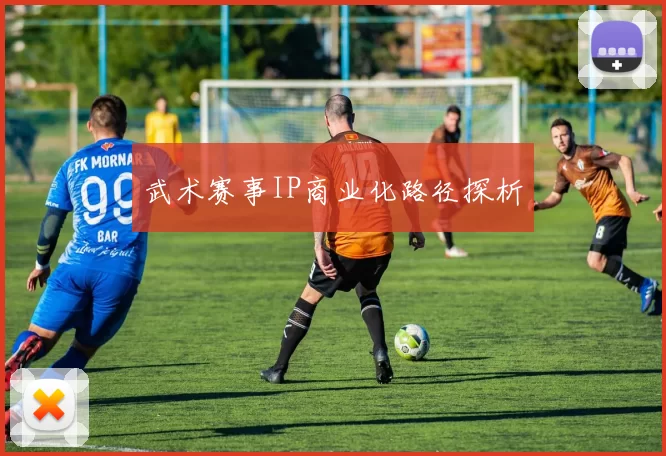 武术赛事IP商业化路径探析