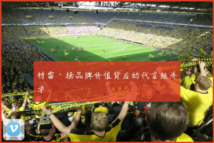特雷·杨品牌价值背后的代言经济学